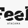 Feel Atacama