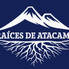 Raices Atacama