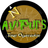 Avitours